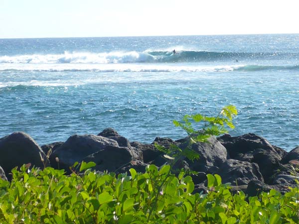 les surfers sur l'ile